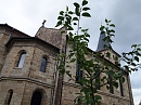 Kirche St. Elisabeth in Wülfingerode (R. Englert)