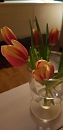 Fr&uuml;hling im Krankenzimmer  (Regina Englert)