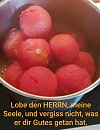 Lobe den HERRN (Regina Englert)