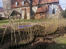 Weidentunnel in Bielen  (Chr. Mitzlaff)