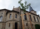 Lutherbaum im Kirchgarten (R. Englert)