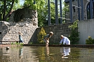 Frauenberg (Foto: Karsten Koch)