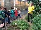 Besuch des Tropenhaus in Witzenhausen (Foto: Nikolaus Flämig)