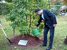 Und nun noch ordentlich Wasser drauf von Bürgermeister Frank Rostek (Foto: R. Englert)