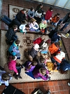 Besuch der Kirche in Zwinge (Foto: Nikolaus Flämig)