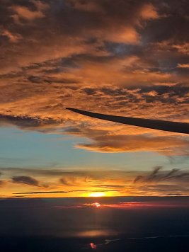 Der Flug nach New York  (Foto: M. Kremzow )