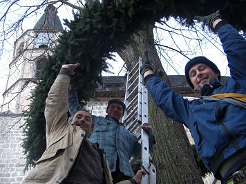 Die Kranzflechter (Foto: Tuschy)