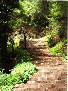 Treppe (Foto: Frauenberg)