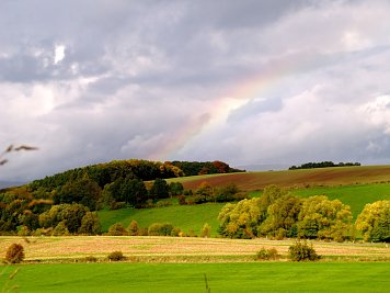 Wandertag (Foto: Sabine Wegner)