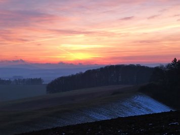 Neujahrsgang 2015 (Foto: Sabine Wegner)