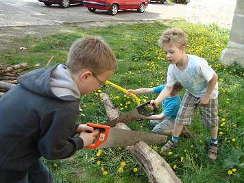 Holz sägen fürs Osterfeuer (Foto: Tuschy)