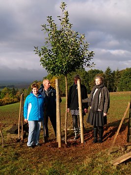 Apfelbaum Steinsee (Foto: Wegner)