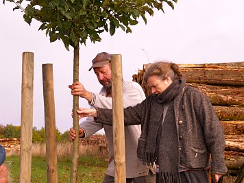 Apfelbaum Steinsee (Foto: Wegner)