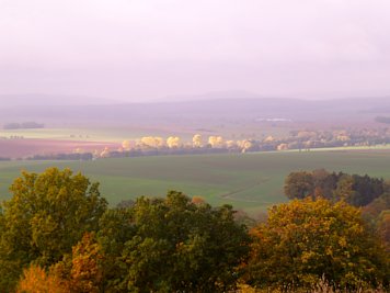 Apfelbaum Steinsee (Foto: Wegner)