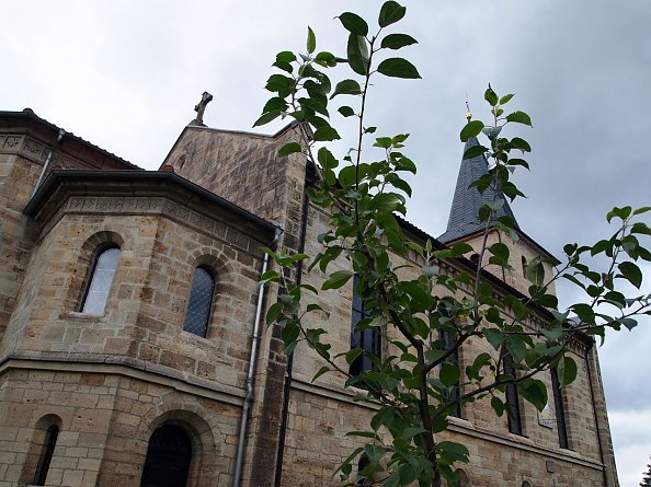 St. Elisabeth mit Lutherbaum (Foto: Regina Englert)