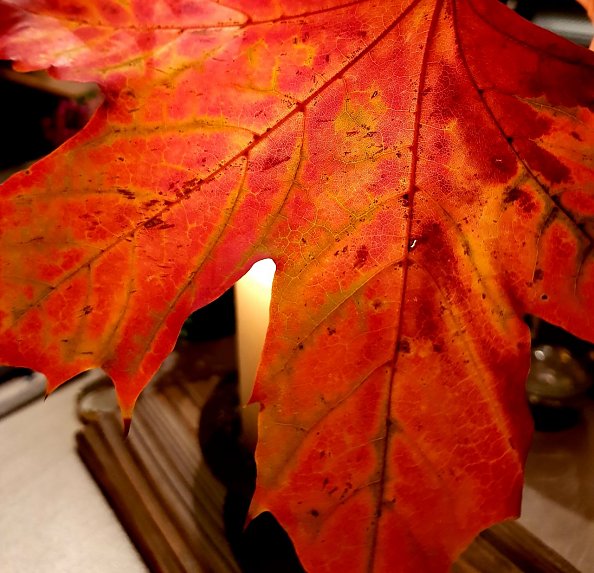 Herbst (Foto: Regina Englert)