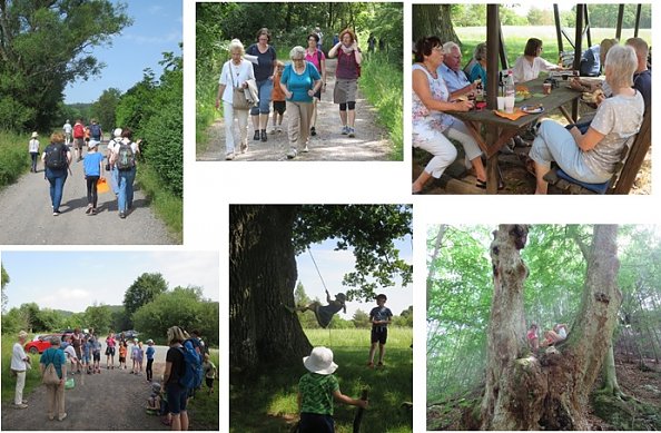 wandern (Foto: frauenberg)