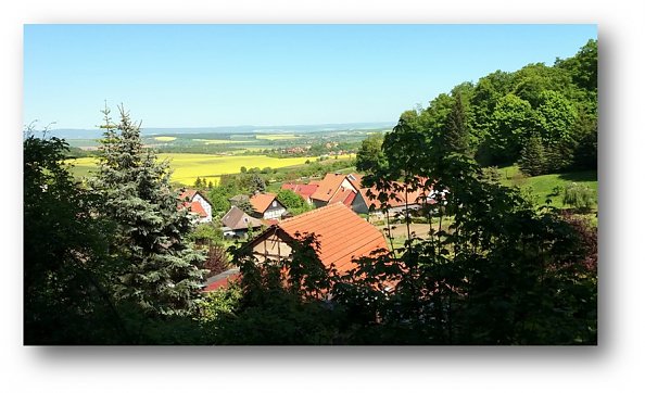 Ausblick vom Rundwanderweg (Foto: M. Steinke)