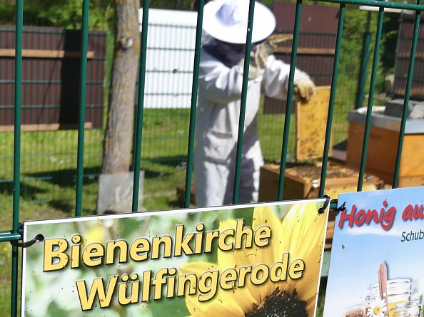 Bienenkirche Wülfingerode (Foto: R. Englert)