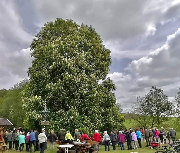 In Werna an der Kastanie (Foto: F. Wenderoth)