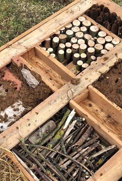 Insektenhotel (Foto: Alexander Ibe)