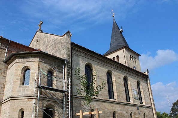 Der neue Lutherbaum wurde bereits im Vorfeld behutsam eingepflanzt (Foto: B. Eckstein)