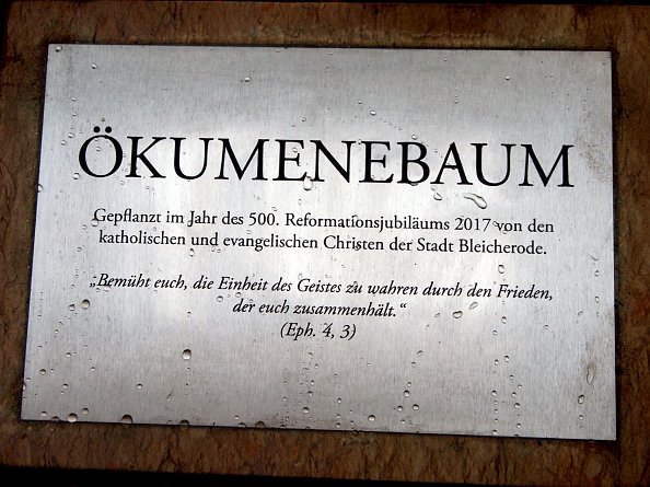 Gedenktafel zum Ökumenebaum in Bleicherode (Foto: R. Englert)